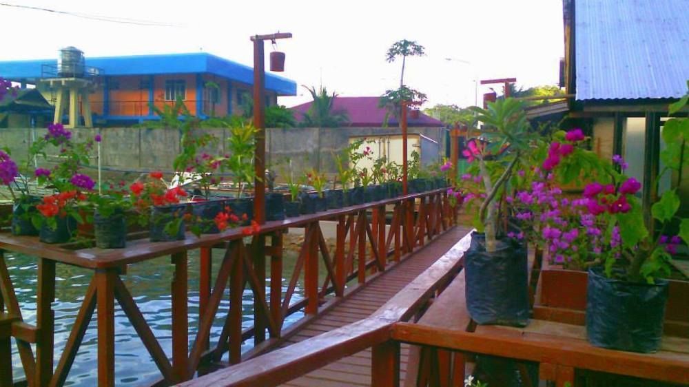 Dayunan Tourist Inn 爱妮岛 外观 照片